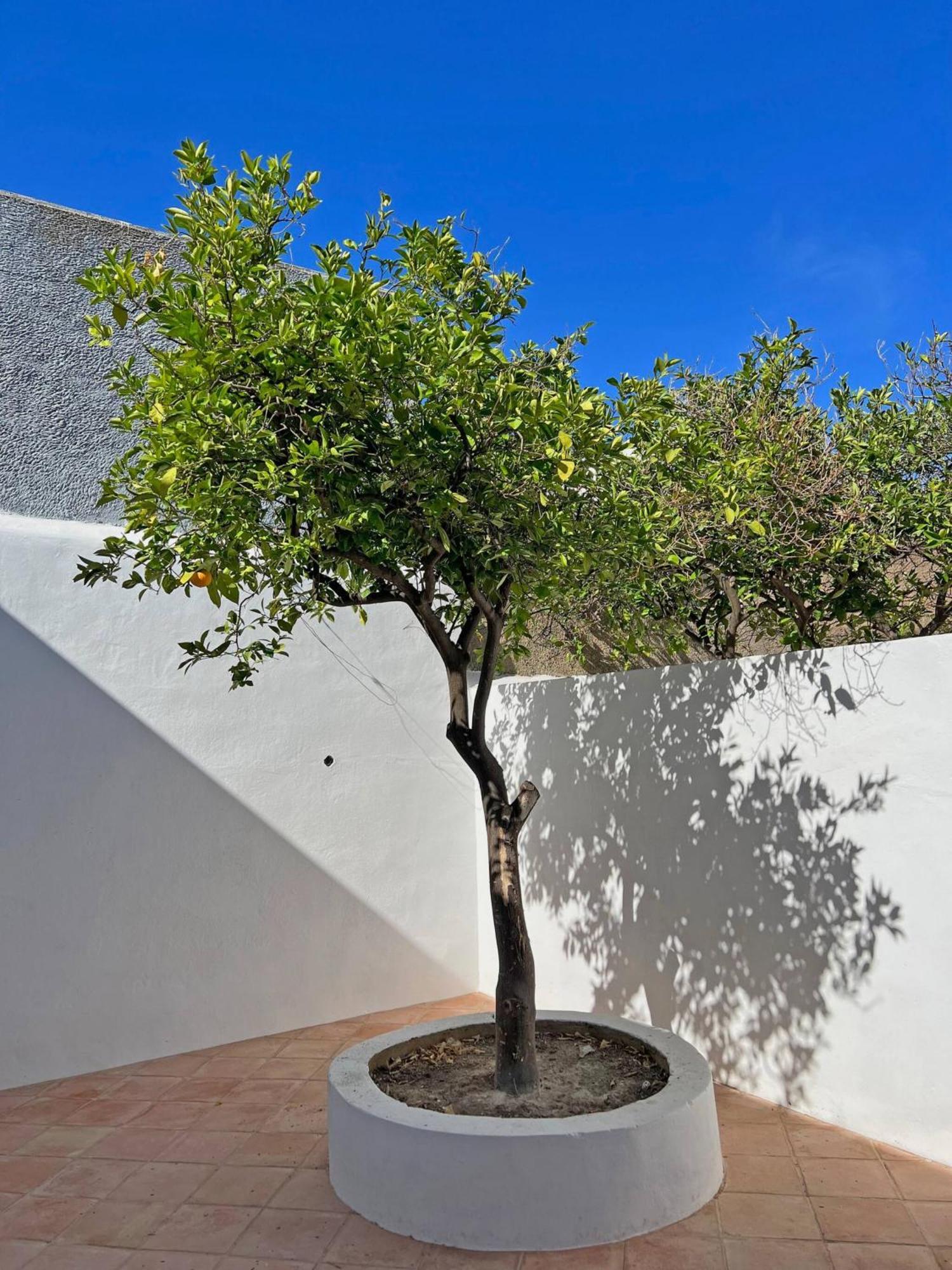 Casa Florence - Fuseta Fuzeta Exterior foto